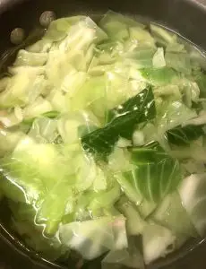 Chopped cabbage in water