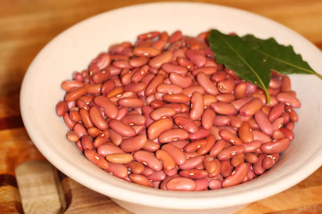 Dried red kidney beans and bay leaf