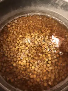 lentils in water