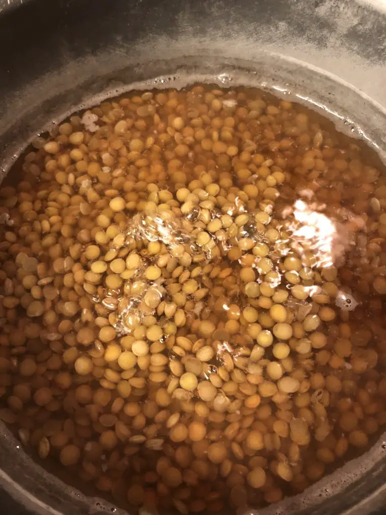lentils in water