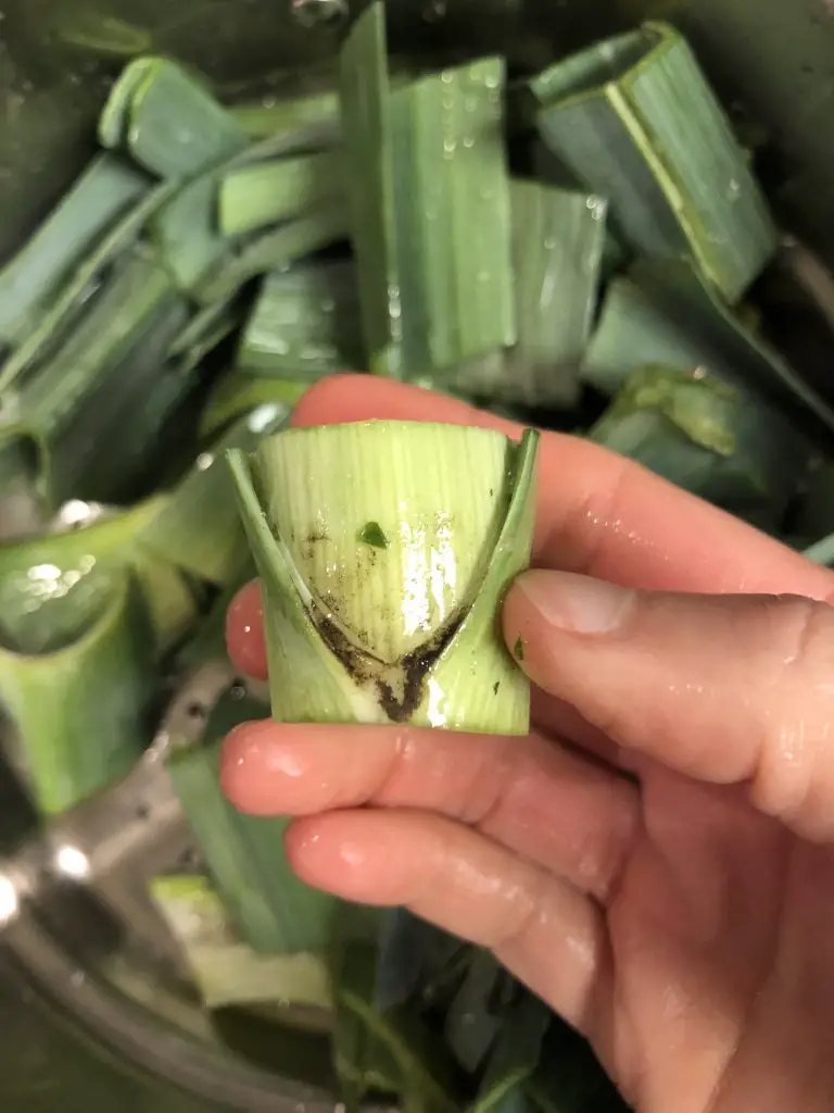 Chopped Leeks with dirt in them