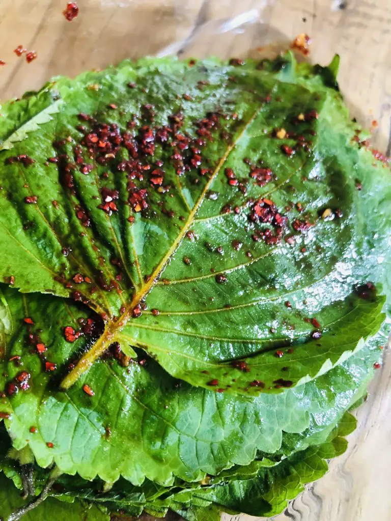 Korean Perilla leaves