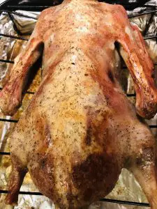 goose on a rack in a roasting tray with golden skin and lots of fat underneath