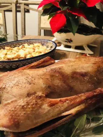 Roasted Goose on a white serving tray with sage and onion stuffing and a poinsettia in the background