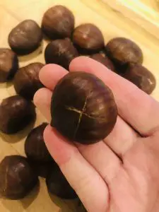 Hand holding a chestnut with a cross incision with more chestnuts in the background