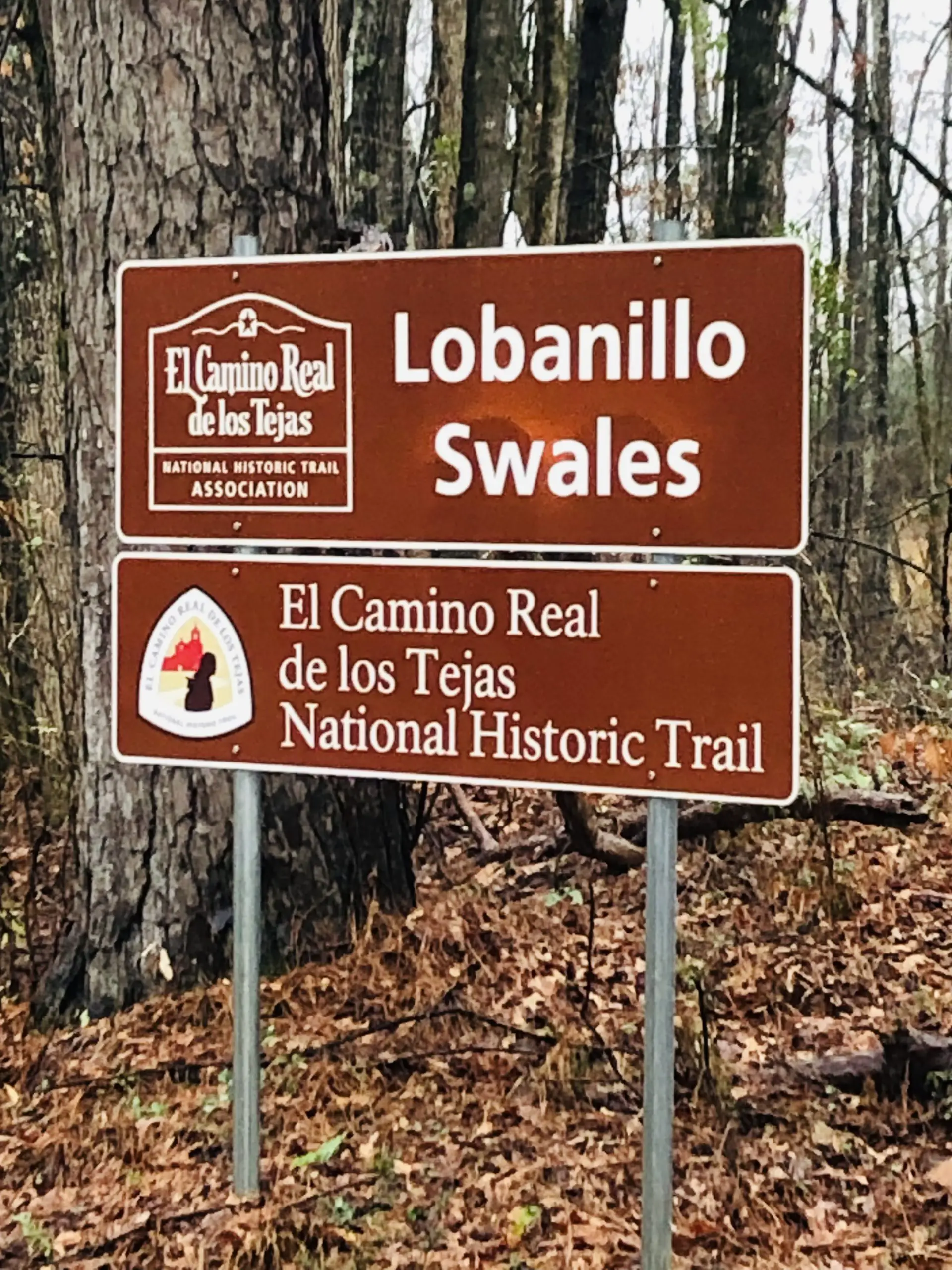 sign for Lobanillo Swales and El Camino Real