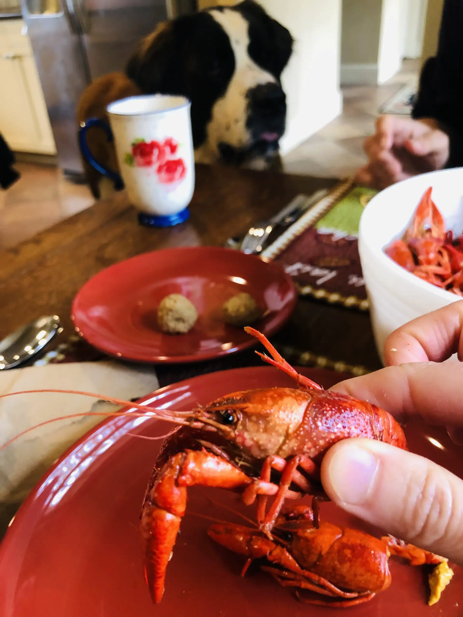 Crawfish being held by a hand, dog in the background with a rose mug, a white bowl filled with crawfish and some boudin balls