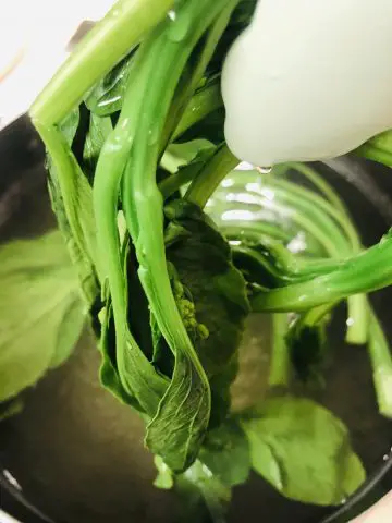 Yu choy held by some tongs so that it can drain