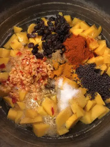 Pieces of cut up mango, raisins, garlic, chilies and ginger and spices all in a saucepan.