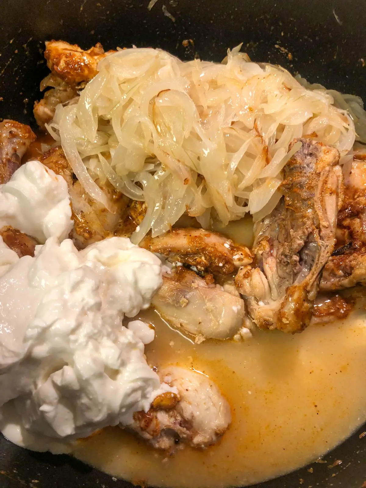 Chicken pieces with sliced cooked onions chicken broth and yogurt