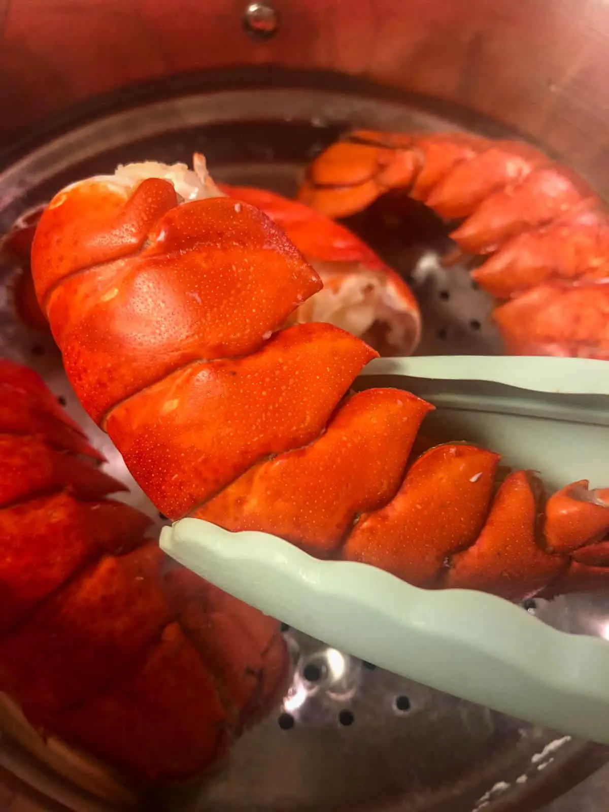 Bright red lobster tails in a steamer with blue tongs holding one of the tails.