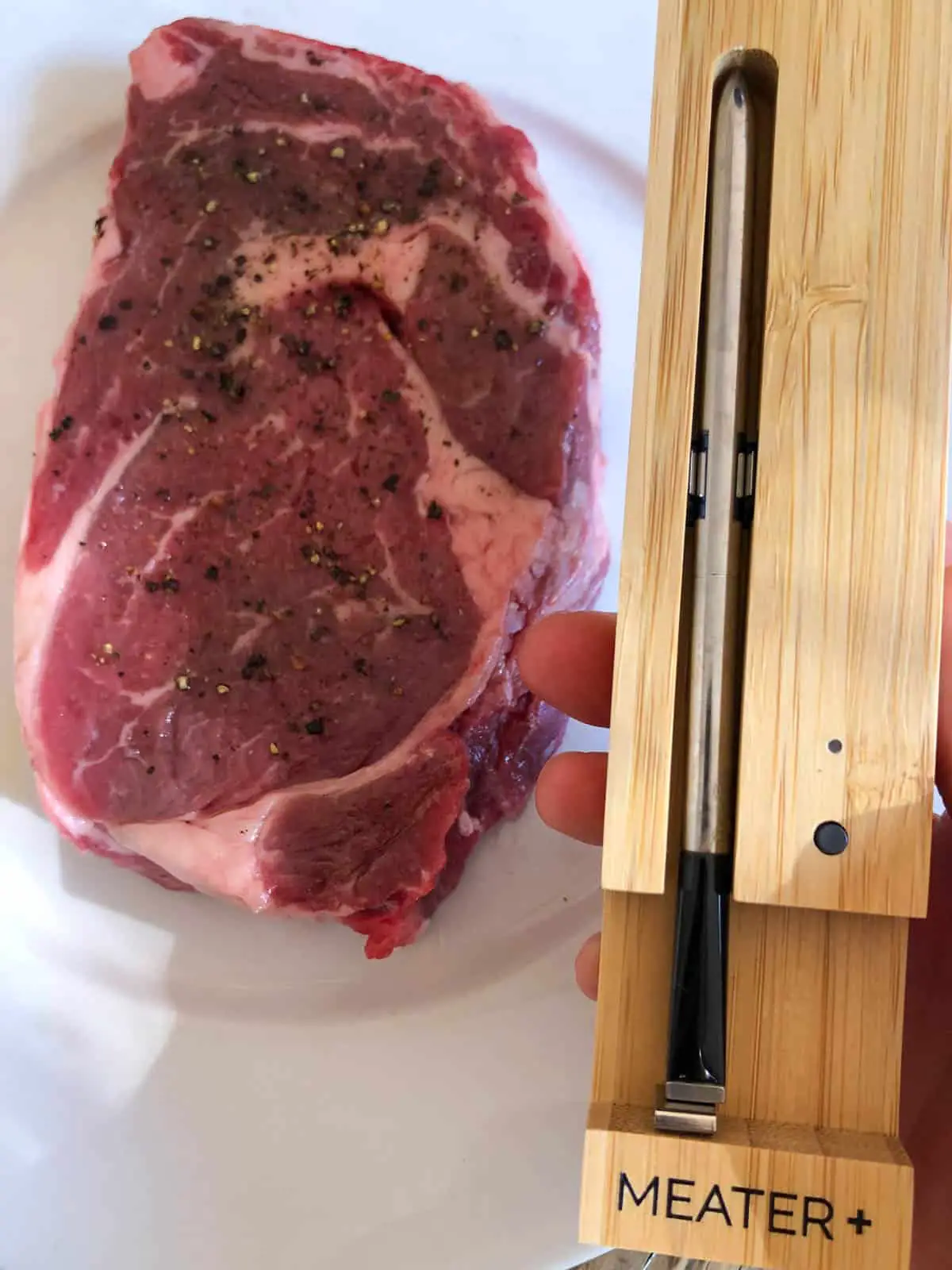 A ribeye steak on a white plate in the background and a hand holding a Meater thermometer in the foreground.