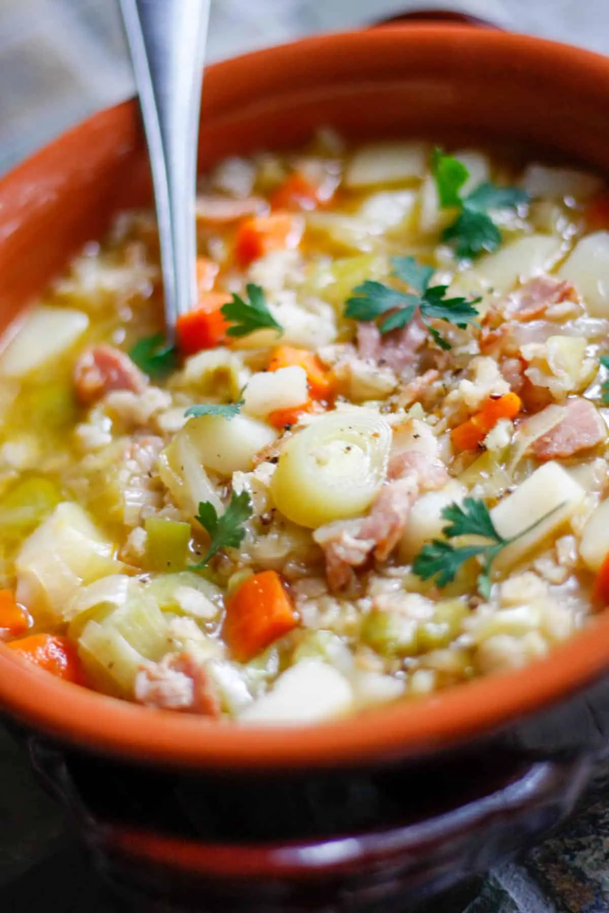 A terracotta soup bowl full of soup consisting of chicken broth, bacon, leeks, carrots, cabbage and potatoes garnished with Italian parsley with a spoon resting in the soup.