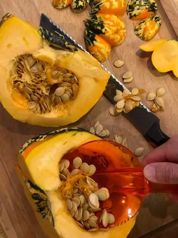 Carnival squash that has been split with a serrated knife next to it and a hand holding an orange scooper scooping out the seeds with additional seeds and cut parts of the squash laying next to the split halves.