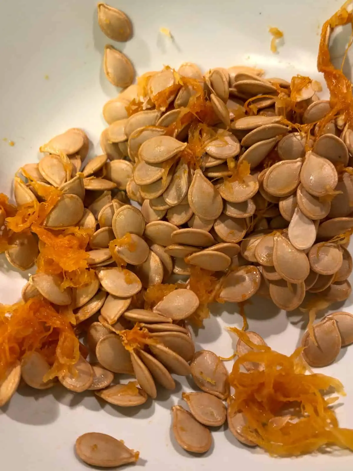 Squash seeds and orange pith in a white bowl.