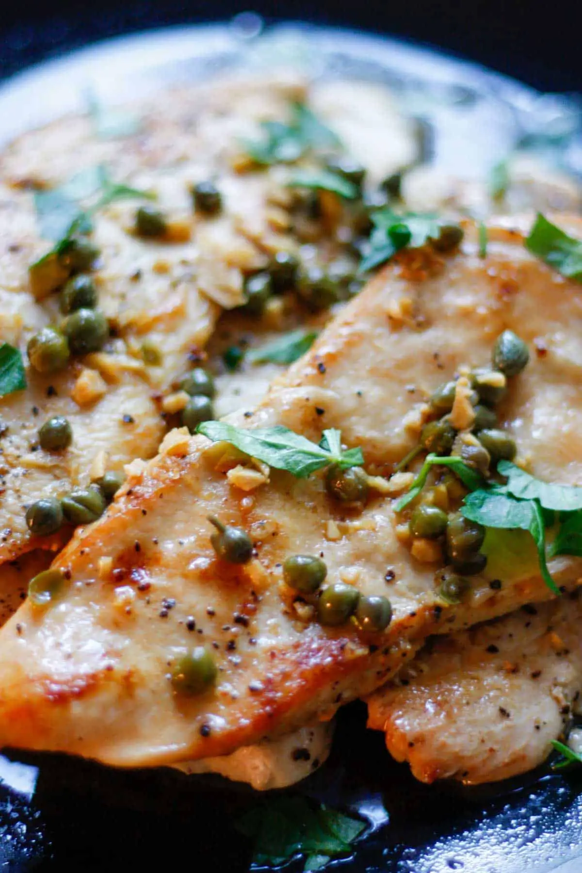 Chicken scallopini or thin slices of chicken cooked and garnished with Italian parsley with a sauce of capers, garlic, lemon juice, chicken broth and butter poured over the chicken.