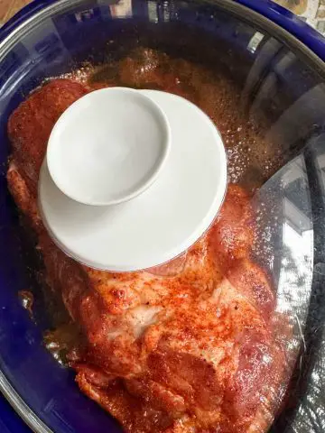 Uncooked seasoned pork butt and coke zero in a blue slow cooker with the lid on.