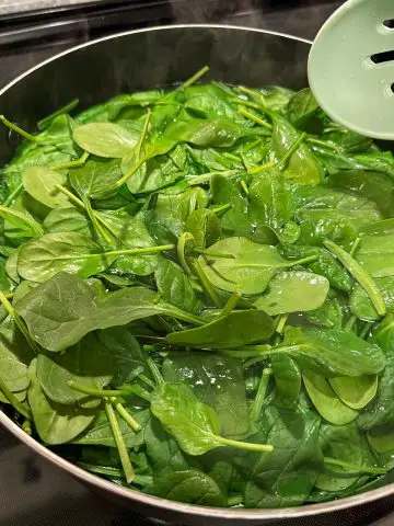 Raw baby spinach placed into hot water in a large pot with a blue slotted spoon poised over the pot.