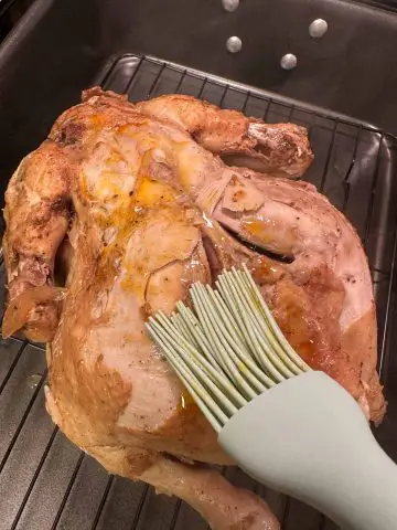A whole chicken on a roasting rack being basted with a blue baster.
