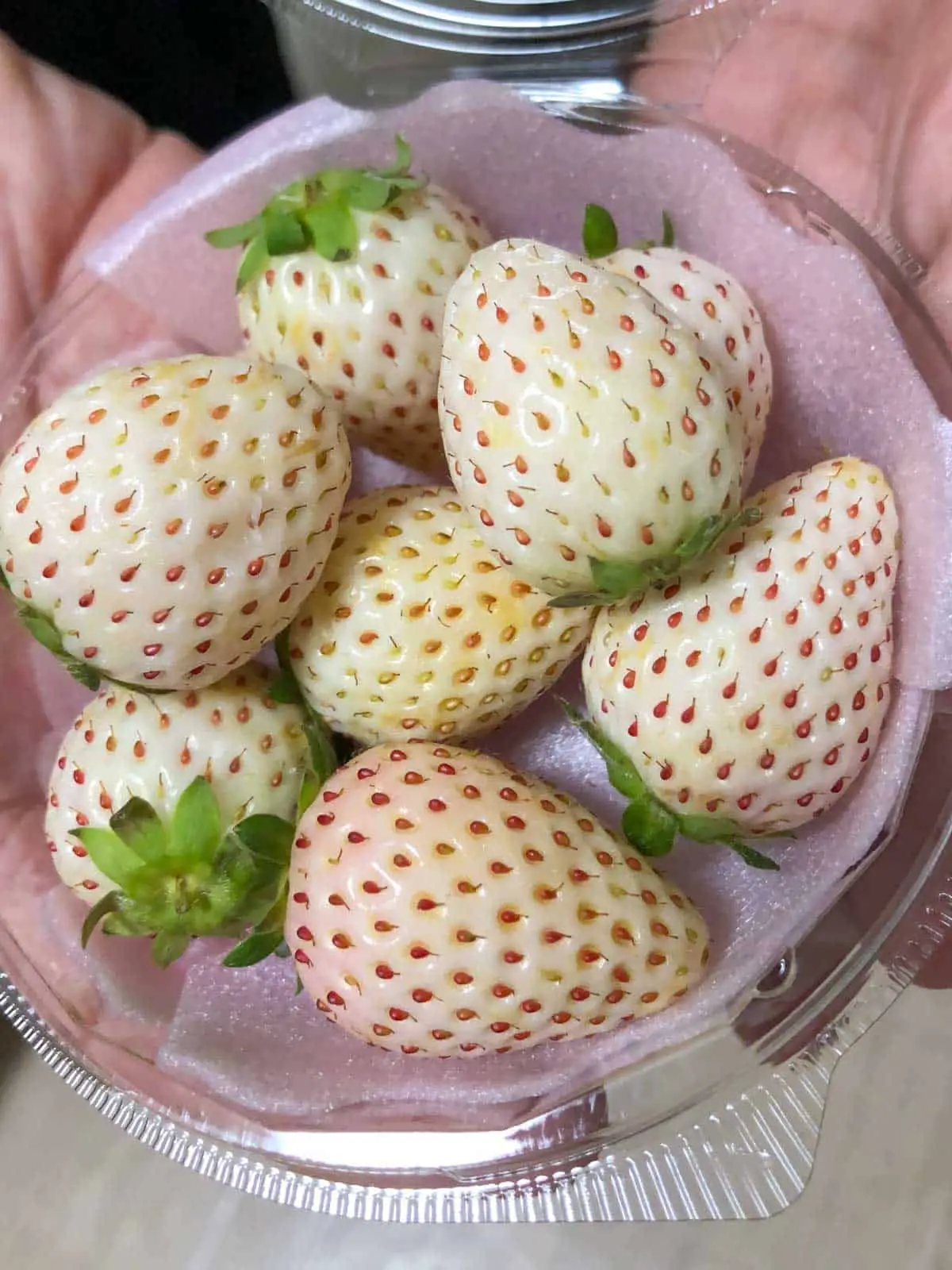 A bowl filled with white strawberries.