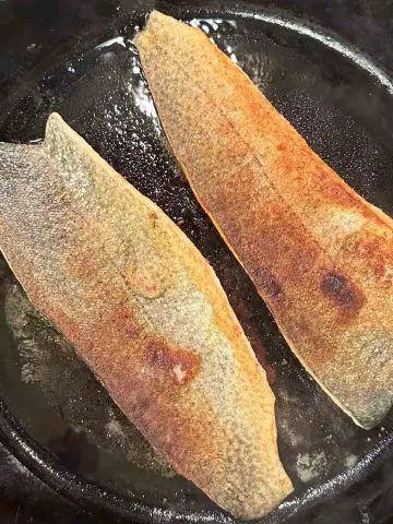 Seasoned rainbow trout fillets cooking in oil in a cast iron skillet with skin side up.