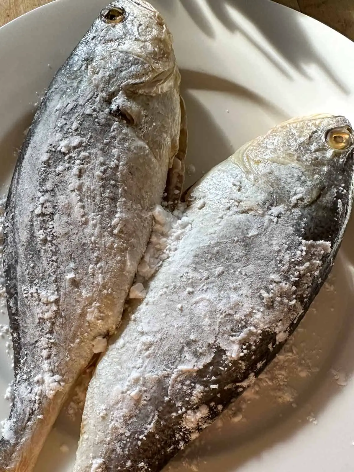 Corvina fish coated in potato starch on a white dish