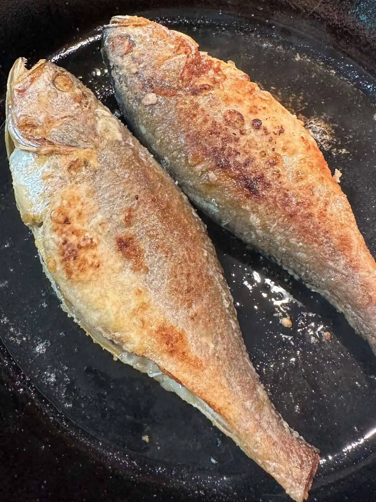 Two corvina fish being pan fried in oil in a cast iron pan.