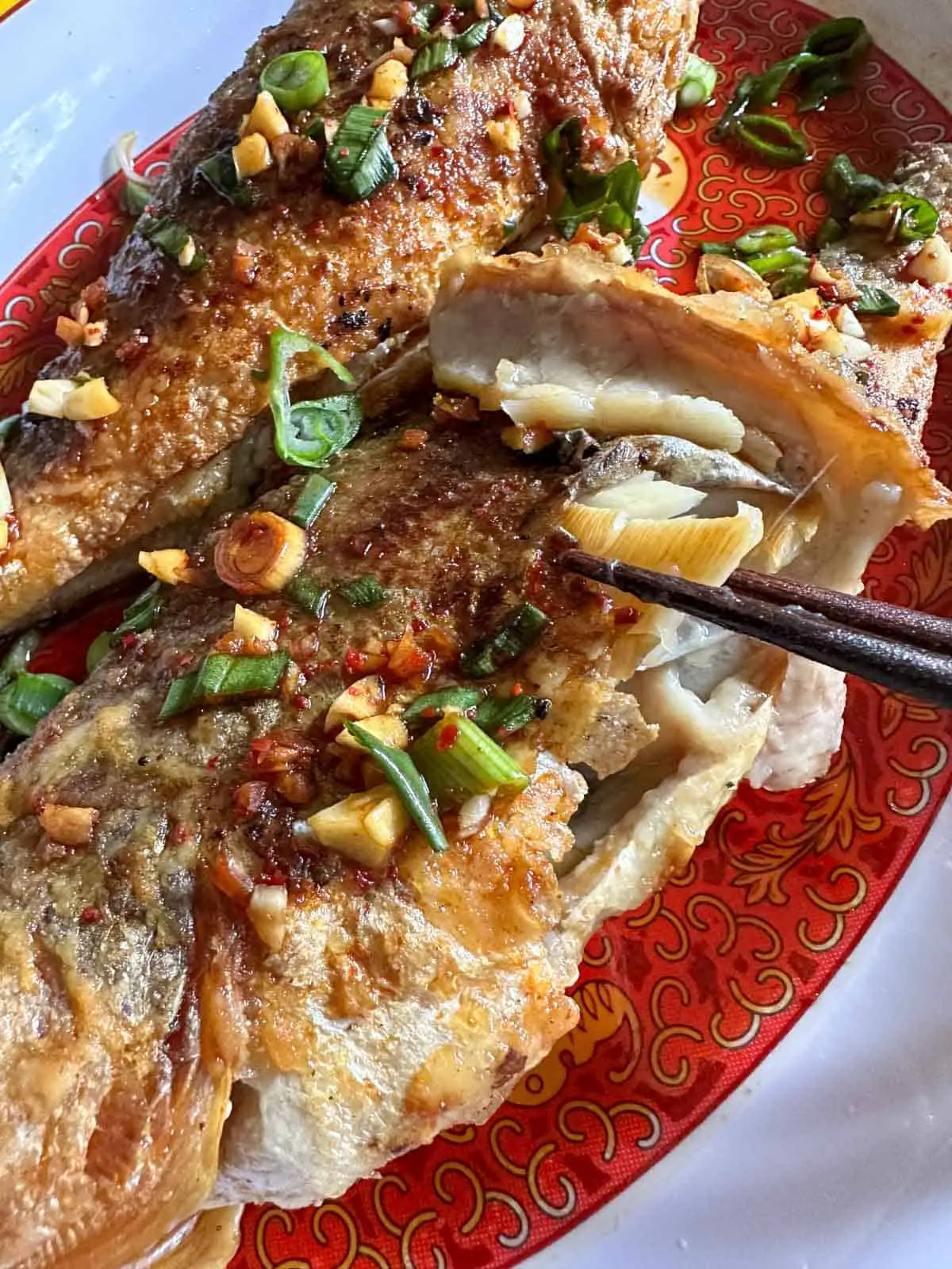 Two pan fried corvina fish on a patterned plate. The fish has been drizzled with a soy based sauce and garnished with sliced green onions. There is a pair of chopsticks picking up some of the flesh of the fish.
