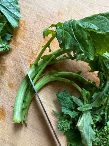 Rapini on a wooden cutting board. There is a knife poised over the stalk of the rapini approximately 2 inches from the bottom of the stalk.