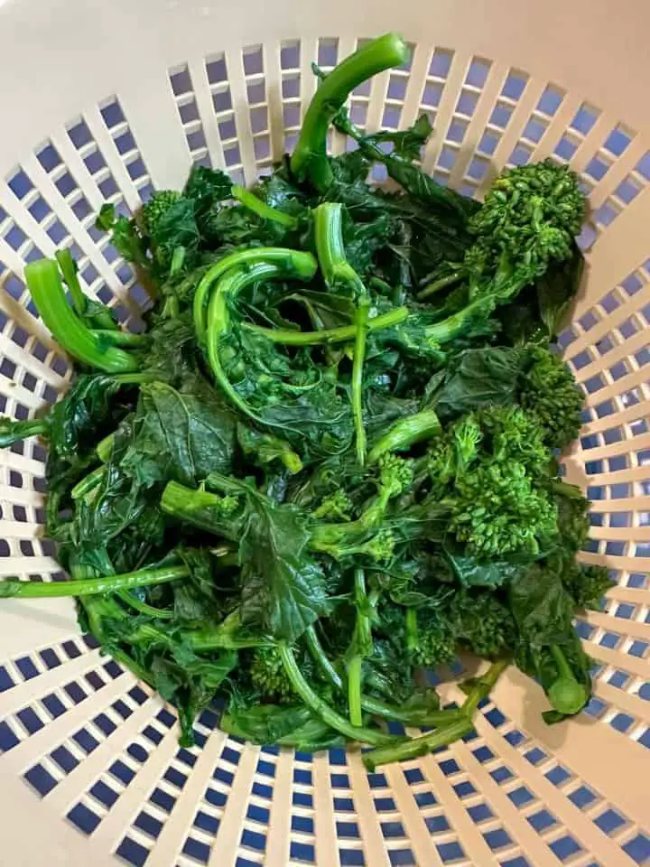 Drained and blanched rapini in a colander.