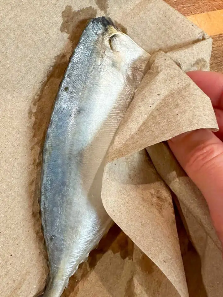 Someone using a paper towel to pat dry mackerel.