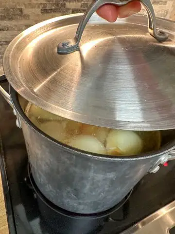 A large stockpot containing water and onions are visible in the water. There is someone holding the lid for the stockpot just over the pot.