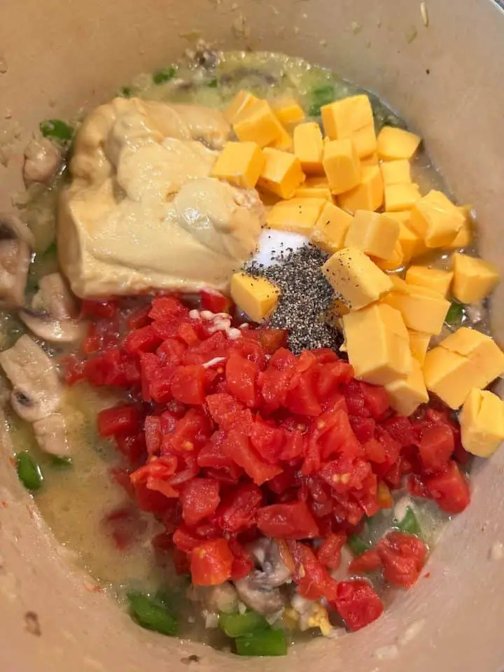 A Dutch oven containing broth, condensed cream of chicken soup, cubes of Velveeta cheese, salt and pepper, diced tomatoes and chilis, mushrooms, and green bell peppers.