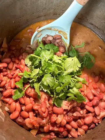 A large pot containing pinto beans, broth, and bacon. A bunch of cilantro rests on top of the beans and thee is a blue spoon with a wooden handle in the pot.