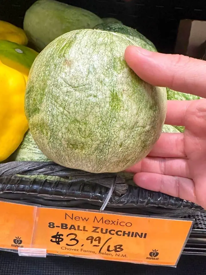 An 8-Ball zucchini on display in a grocery store.