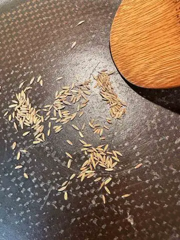 Cumin seeds dry roasting in a skillet with a wooden spoon.