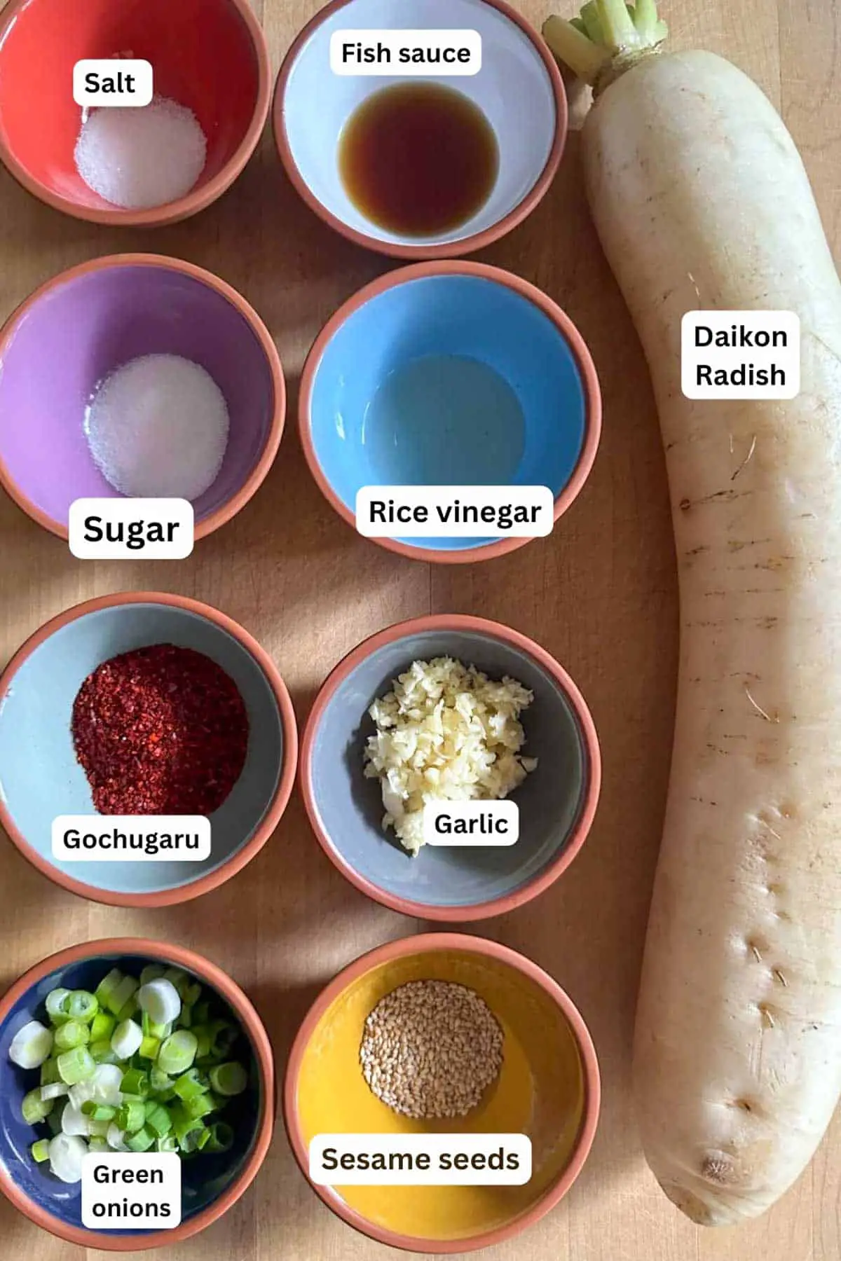 Bowls containing salt, fish sauce, sugar, rice vinegar, gochugaru, garlic, green onions, and sesame seeds. There is a daikon radish displayed next to these ingredients.