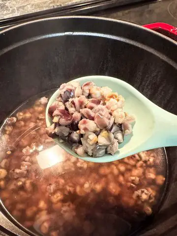 A large pot containing soaked blue corn posole which has bloomed covered with water. There is a blue spoon with some of the blue corn posole in the foreground.