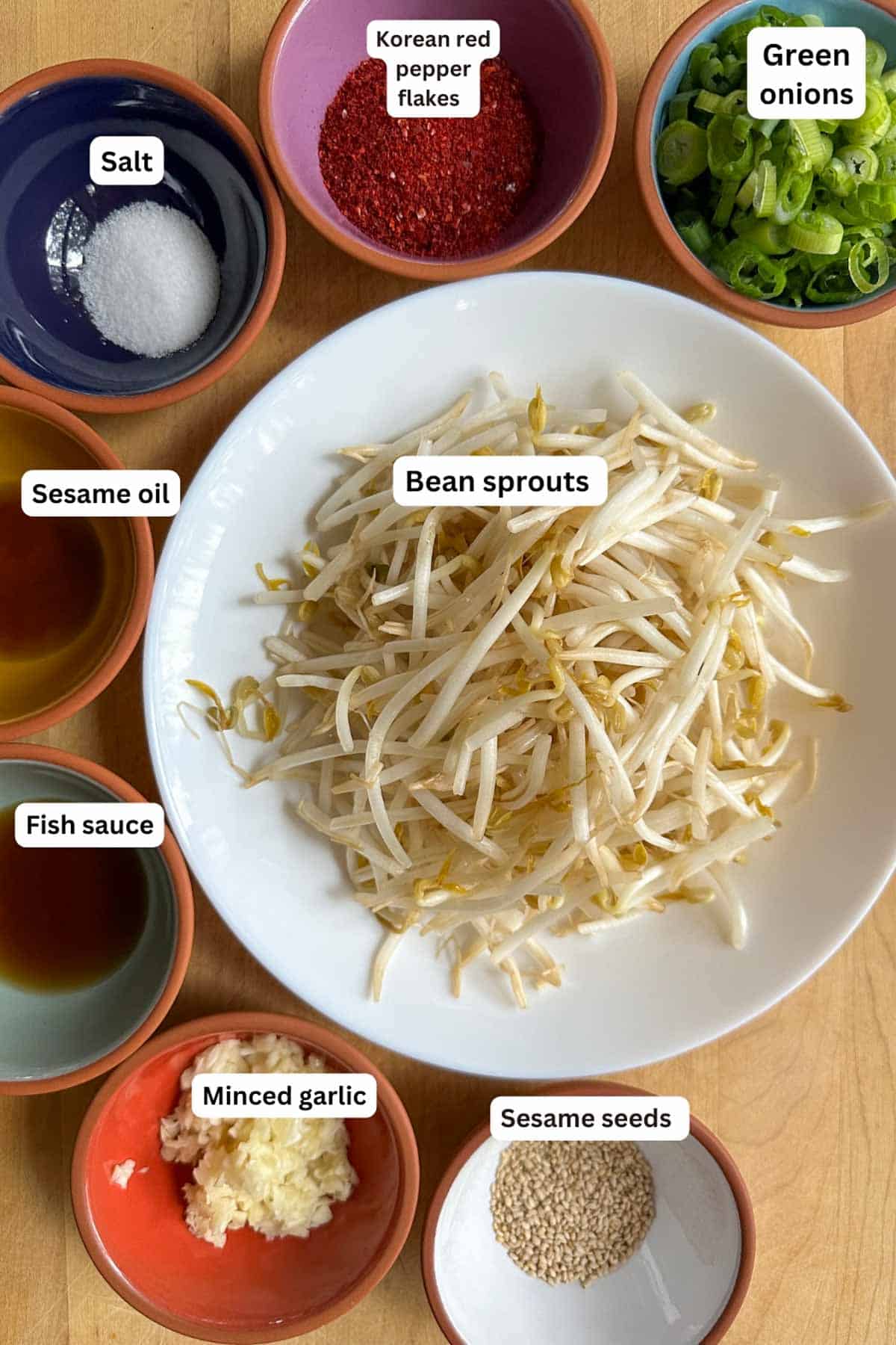 Ingredients for Korean Spicy Bean Sprouts displayed in bowls containing green onions, Korean red pepper flakes, salt, sesame oil, bean sprouts, fish sauce, minced garlic, and sesame seeds.